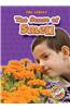 The Sense of Smell