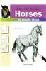 How to Draw Horses in Simple Steps