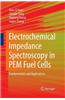 Electrochemical Impedance Spectroscopy in Pem Fuel Cells: Fundamentals and Applications