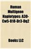 Human Multigene Haplotypes