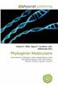 Phylogenie Moleculaire