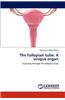 Fallopian Tube