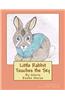 Little Rabbit Touches the Sky