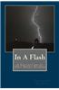 In a Flash: A Collection of Very Short Stories