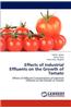 Effects of Industrial Effluents on the Growth of Tomato