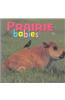 Prairie Babies