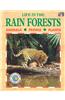 Life in the Rainforests