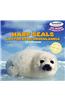 Harp Seals / Las focas de groenlandia