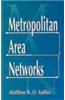 Metropolitan Area Networks: Statistical Mechanics and Cybernetic Perspectives