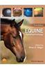 Equine Ophthalmology