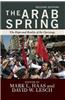 The Arab Spring: The Hope and Reality of the Uprisings
