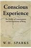 Conscious Experience