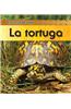 La Tortuga = Turtle