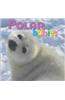Polar Babies