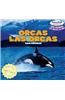Orcas / Las Orcas