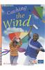 Catching the Wind