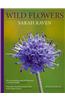 Sarah Raven's Wild Flowers