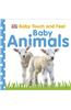 Baby Animals