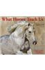 What Horses Teach Us 2012 Calendar