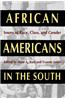 African Americans in the South: Issues of Race, Class, and Gender