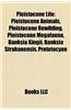 Pleistocene Life: Pleistocene Animals, Pleistocene Rewilding, Pleistocene Megafauna, Banksia Kingii, Banksia Strahanensis, Prototocyon