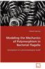 Modeling the Mechanics of Polymorphism in Bacterial Flagella