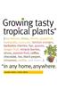 Growing Tasty Tropical Plants in Any Home, Anywhere