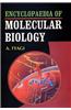 Encyclopaedia of Molecular Biology
