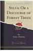 Sylva: Or a Discourse of Forest Trees, Vol. 2 of 2 (Classic Reprint)