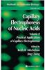 Capillary Electrophoresis of Nucleic Acids