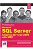 Professional Microsoft Sql Server Analysis Services 2008 With Mdx