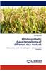 Photosynthetic Characterizations of Different Rice Mutant