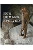 How Humans Evolved