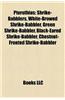 Pteruthius: Shrike-Babblers, White-Browed Shrike-Babbler, Green Shrike-Babbler, Black-Eared Shrike-Babbler, Chestnut-Fronted Shrik