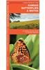 Kansas Butterflies & Moths: An Introduction to Familiar Species