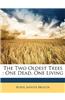 The Two Oldest Trees: One Dead, One Living
