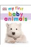 My First Baby Animals