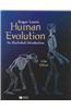 Human Evolution