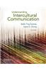 Understanding Intercultural Communication