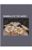 Mammals of the Andes: Alpaca, Altiplano Chinchilla Mouse, Andean Gerbil Mouse, Andean Hairy Armadillo, Andean Mountain Cat, Andean Mountain