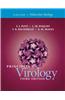 Principles of Virology: Molecular Biology