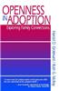 Openness in Adoption: Exploring Family Connections
