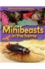 Minibeasts in the Home
