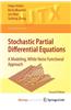 Stochastic Partial Differential Equations