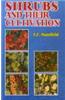 Shrubs and Their Cultivation
