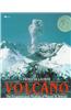 Volcano: The Eruption and Healing of Mount St. Helens