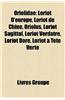 Oriolidae: Loriot D'Europe, Loriot de Chine, Oriolus, Loriot Sagittal, Loriot Verd[tre, Loriot Dor, Loriot Tte Verte