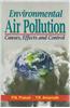 Environmental Air Pollution