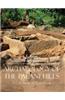 Archaeology of the Palani Hills