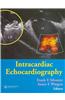 Intracardiac Echocardiography